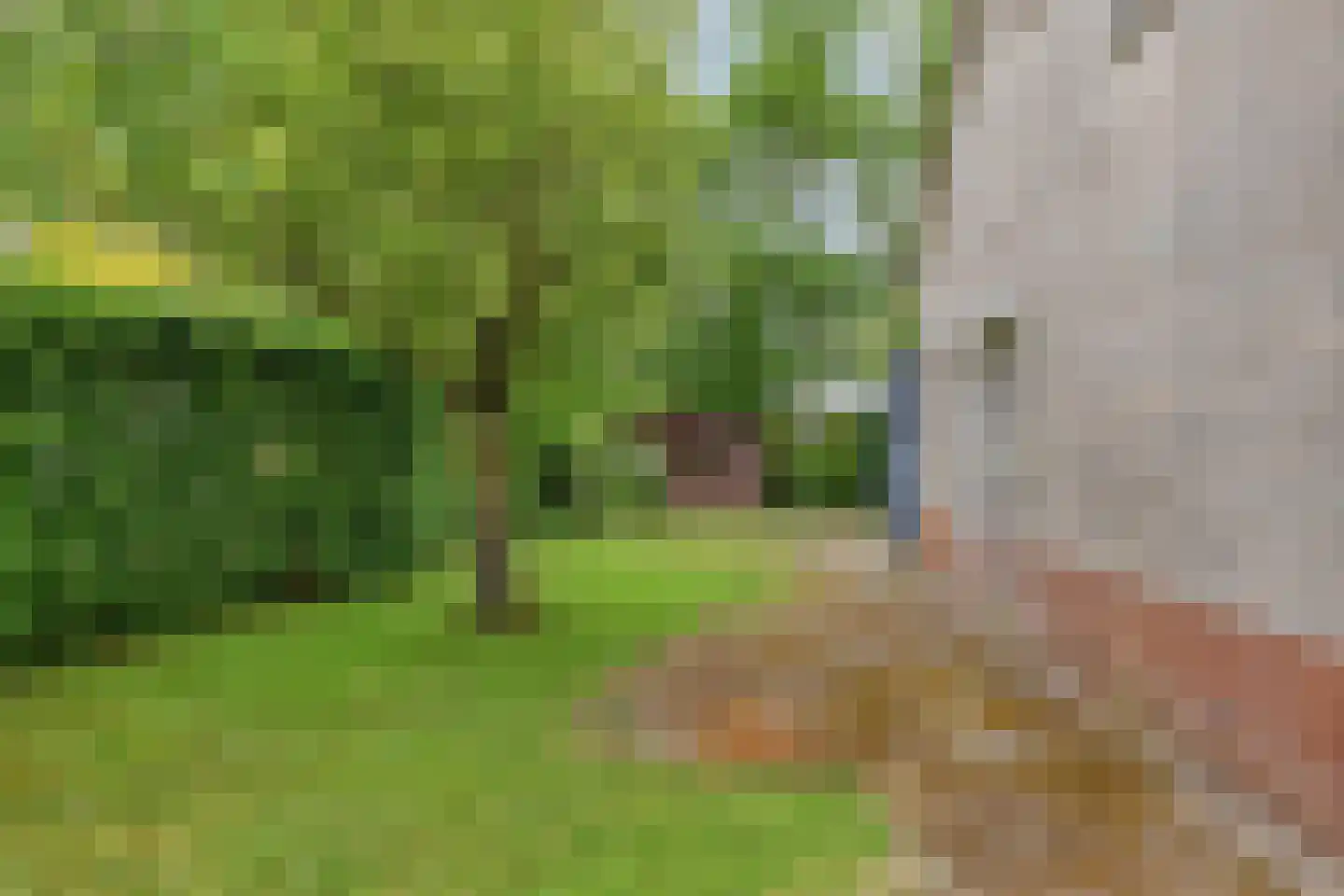 Lichtwachter 19 Ens thumbnail 39
