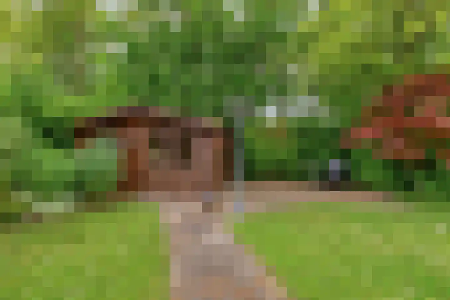 Lichtwachter 19 Ens thumbnail 41