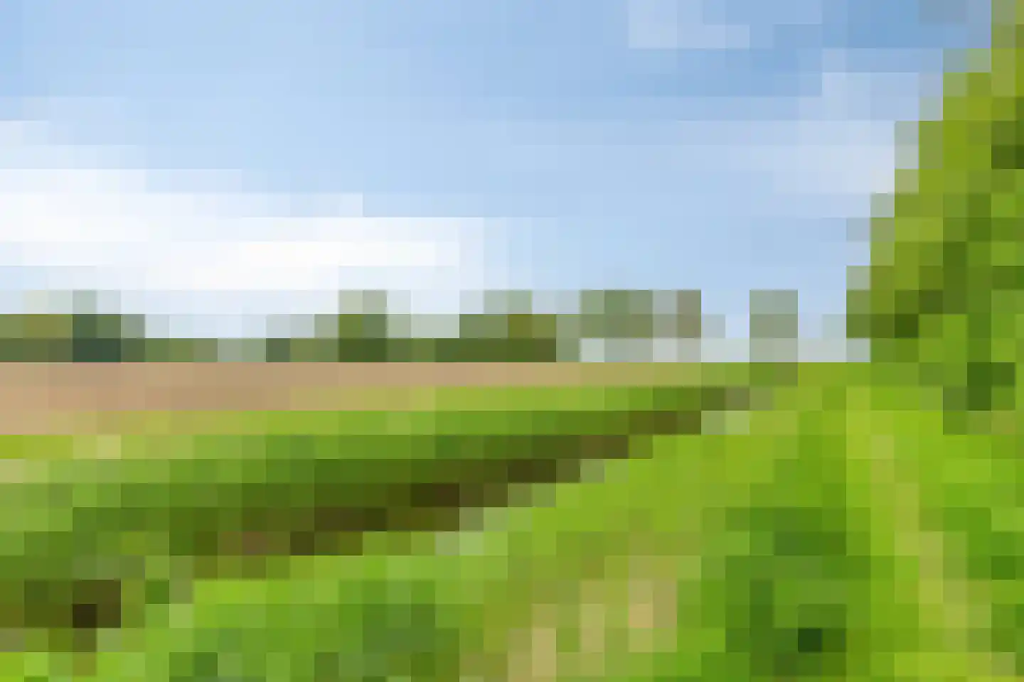 Lichtwachter 19 Ens thumbnail 46