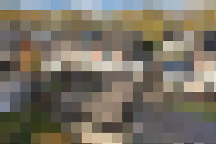 Lichtwachter 20 Ens thumbnail 30