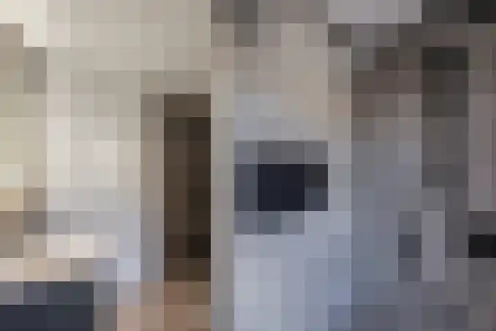 Lichtwachter 20 Ens thumbnail 38