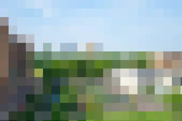 Lidewijdepad 168 Amsterdam thumbnail 12