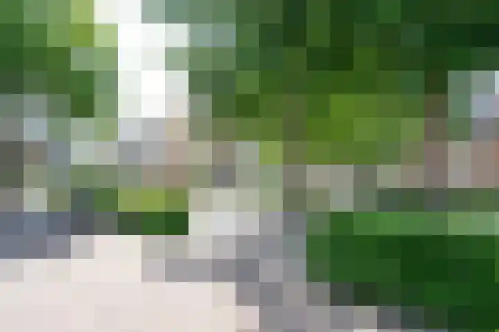 Lidewijdepad 168 Amsterdam thumbnail 21
