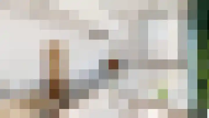 Lidewijdepad 168 Amsterdam thumbnail 7