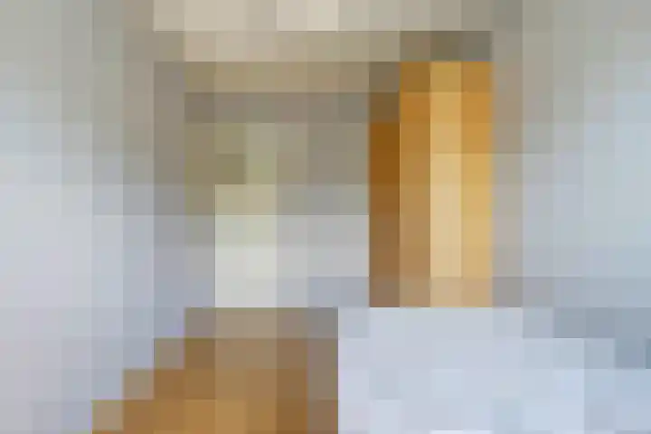 Lidewijdestraat 2 Hoogvliet Rotterdam thumbnail 13