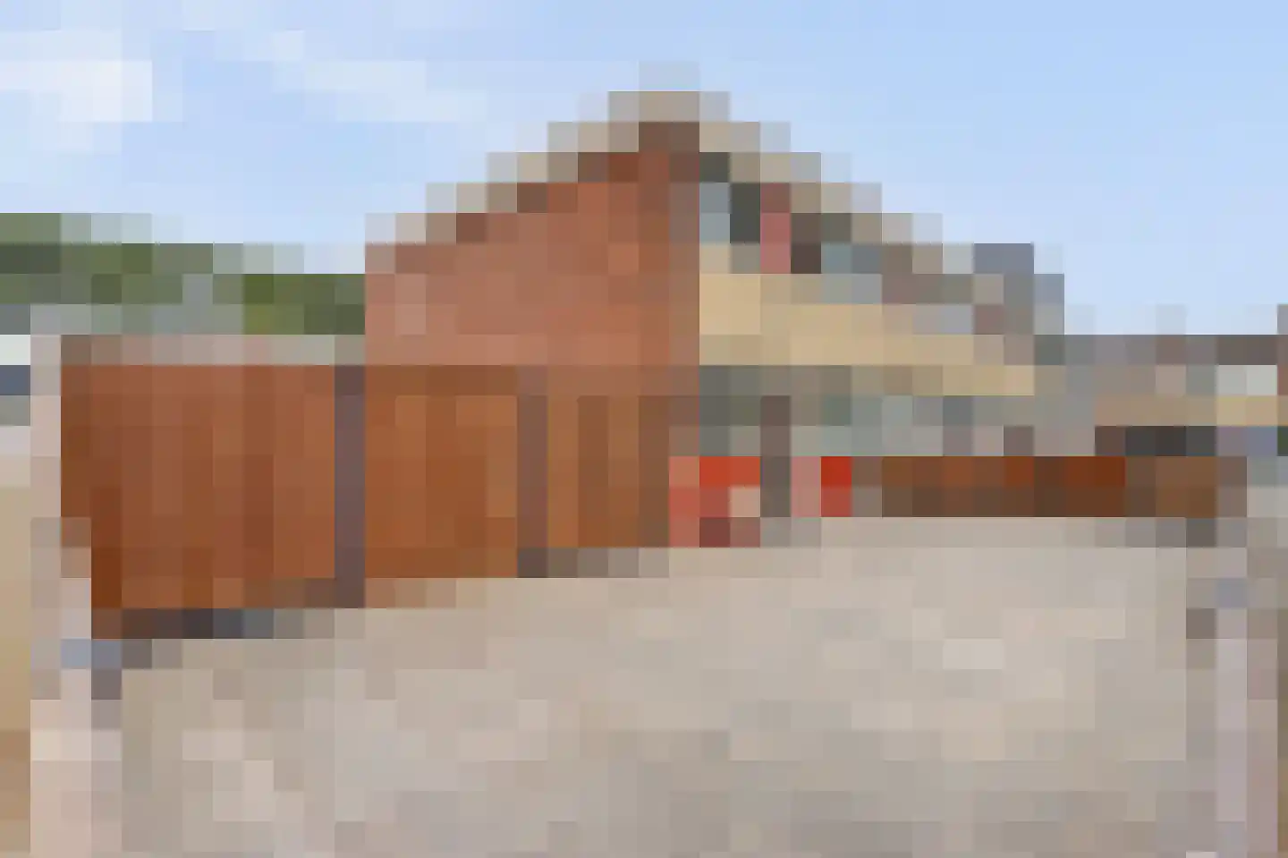 Lidewijdestraat 24 Hoogvliet Rotterdam thumbnail 18