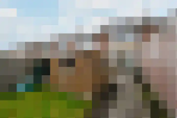 Lidlum 7 Drachten thumbnail 33