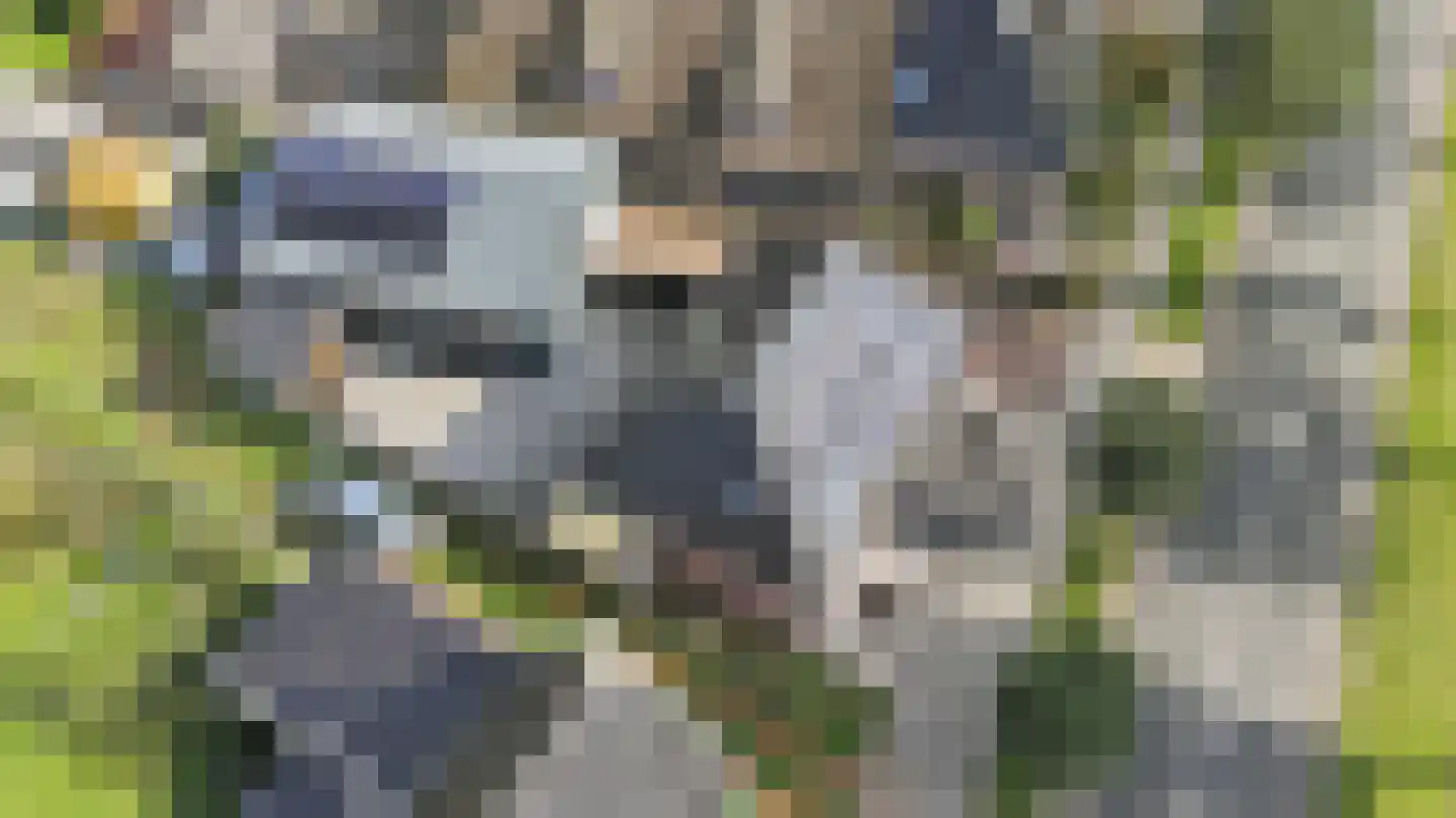 Lidlumerwei 12 Oosterbierum thumbnail 13