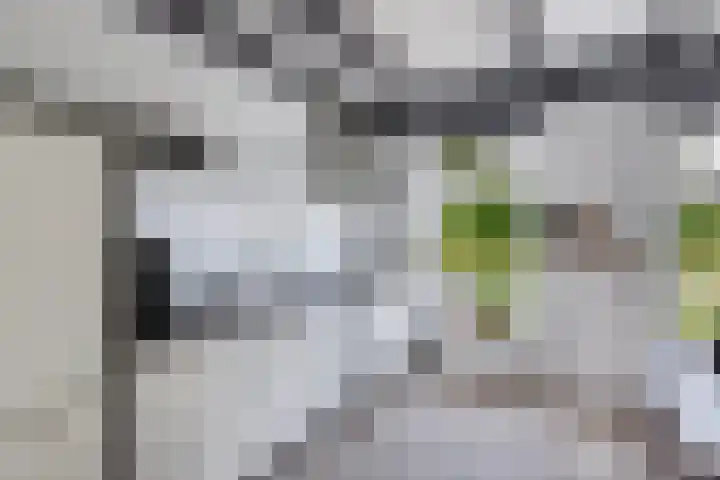 Lidlumerwei 12 Oosterbierum thumbnail 16