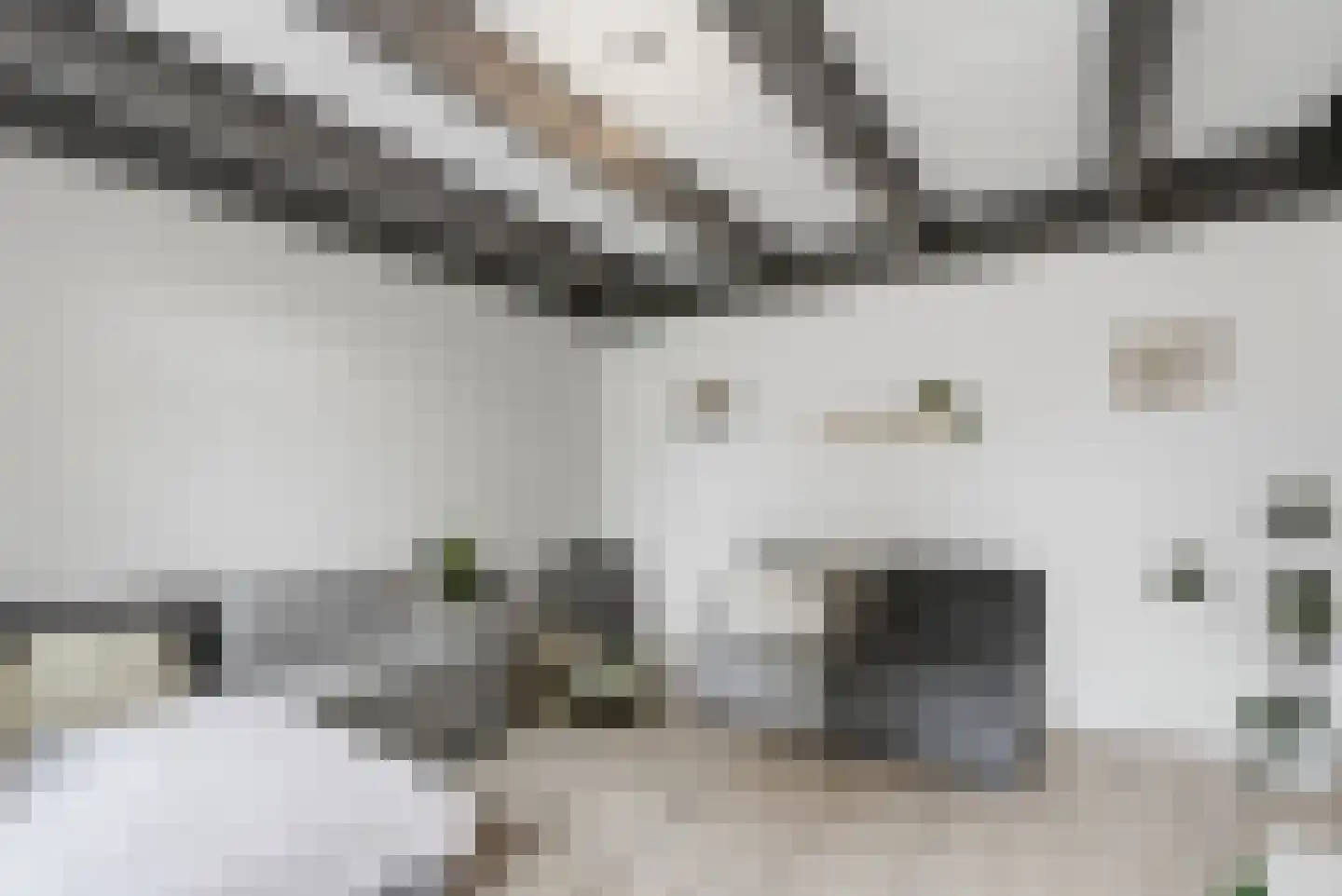 Lidlumerwei 12 Oosterbierum thumbnail 19