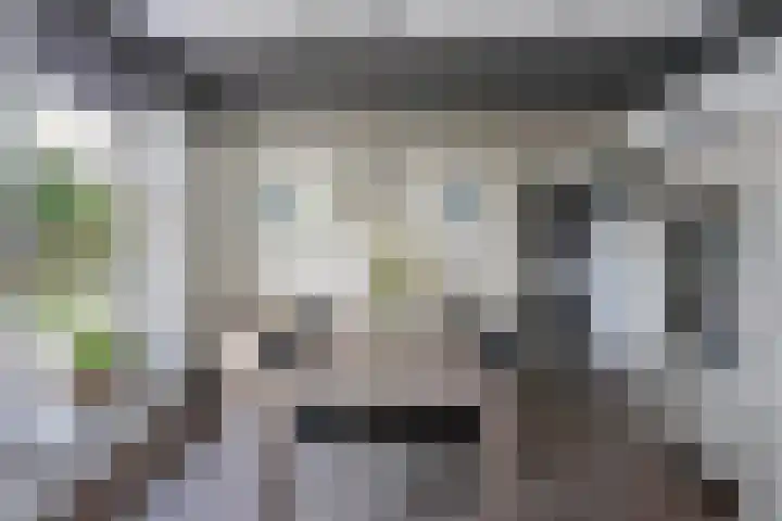 Lidlumerwei 12 Oosterbierum thumbnail 19