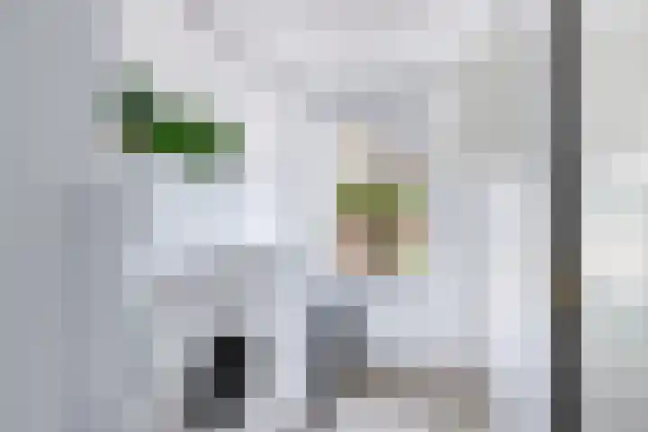 Lidlumerwei 12 Oosterbierum thumbnail 22