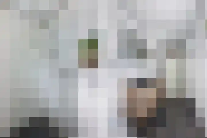 Lidlumerwei 12 Oosterbierum thumbnail 26