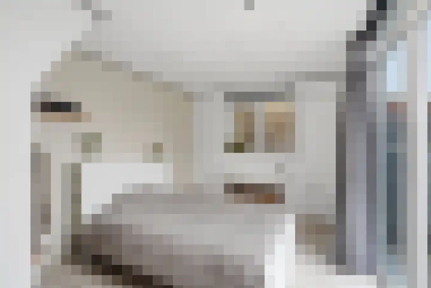 Lidlumerwei 12 Oosterbierum thumbnail 26
