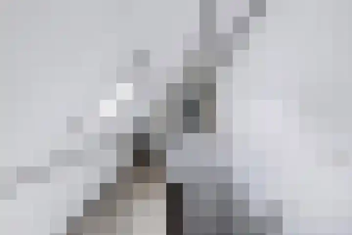 Lidlumerwei 12 Oosterbierum thumbnail 28