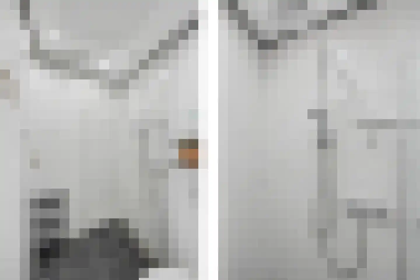 Lidlumerwei 12 Oosterbierum thumbnail 33