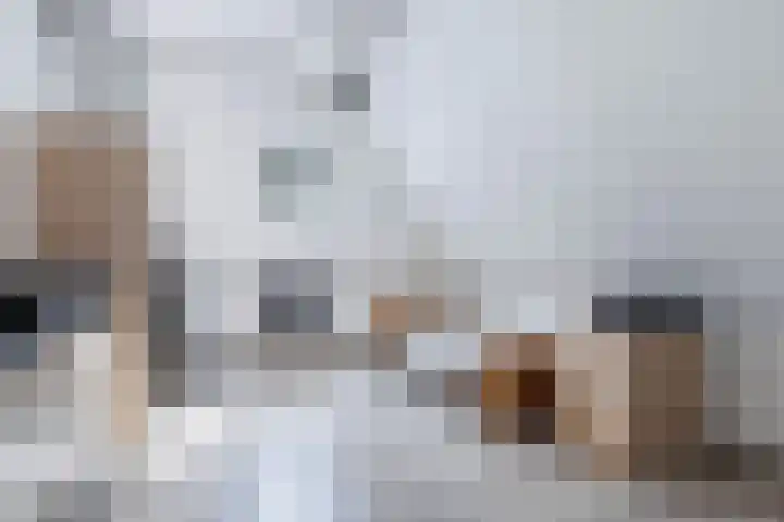 Lidlumerwei 12 Oosterbierum thumbnail 36
