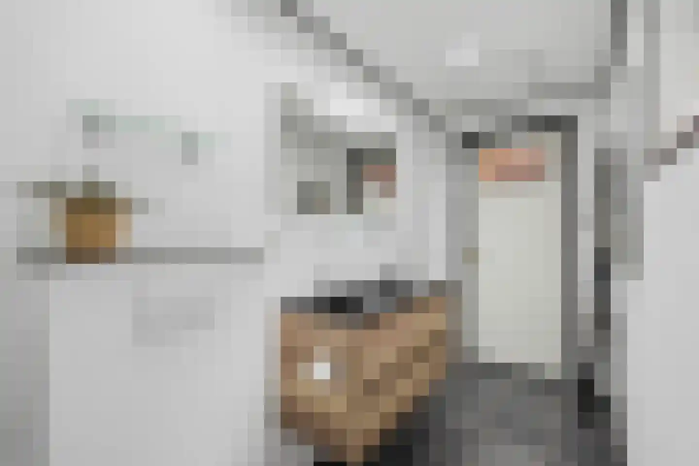 Lidlumerwei 12 Oosterbierum thumbnail 36