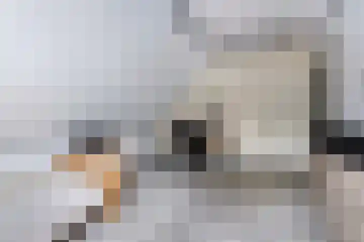 Lidlumerwei 12 Oosterbierum thumbnail 37