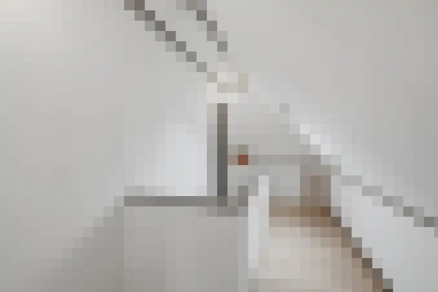 Lidlumerwei 12 Oosterbierum thumbnail 38
