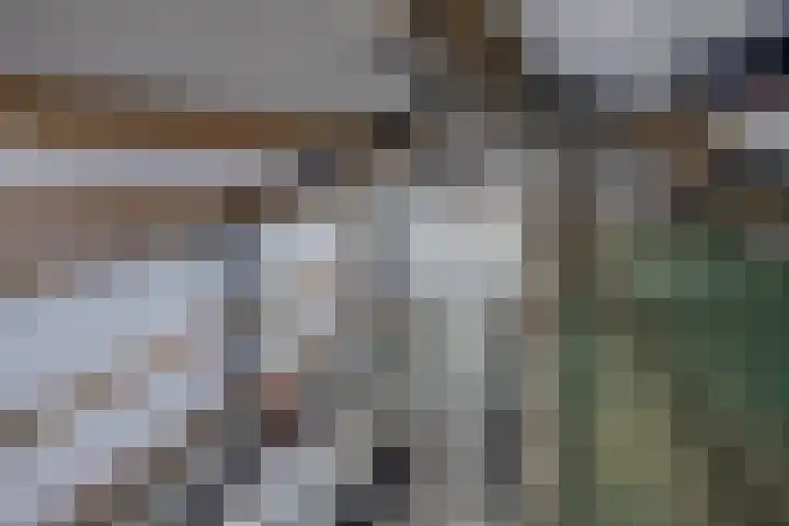 Lidlumerwei 12 Oosterbierum thumbnail 49