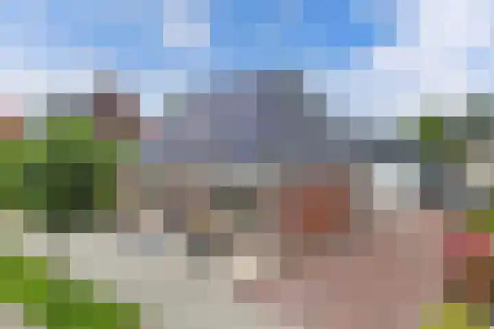 Lidlumerwei 12 Oosterbierum thumbnail 5