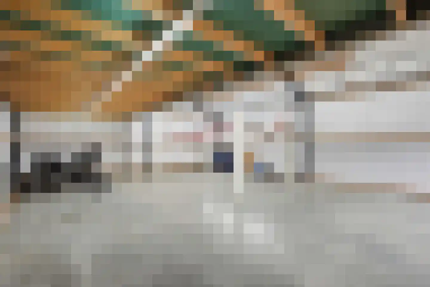 Lidlumerwei 12 Oosterbierum thumbnail 51