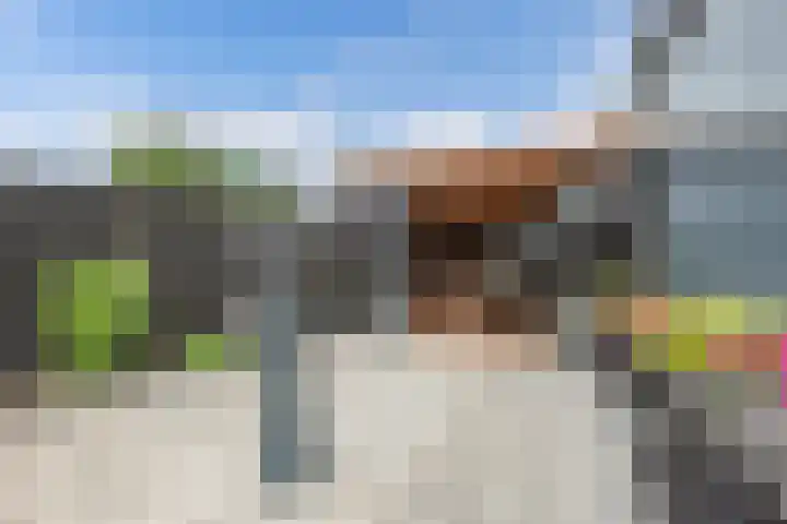 Lidlumerwei 12 Oosterbierum thumbnail 53