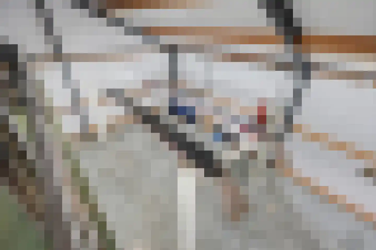 Lidlumerwei 12 Oosterbierum thumbnail 54