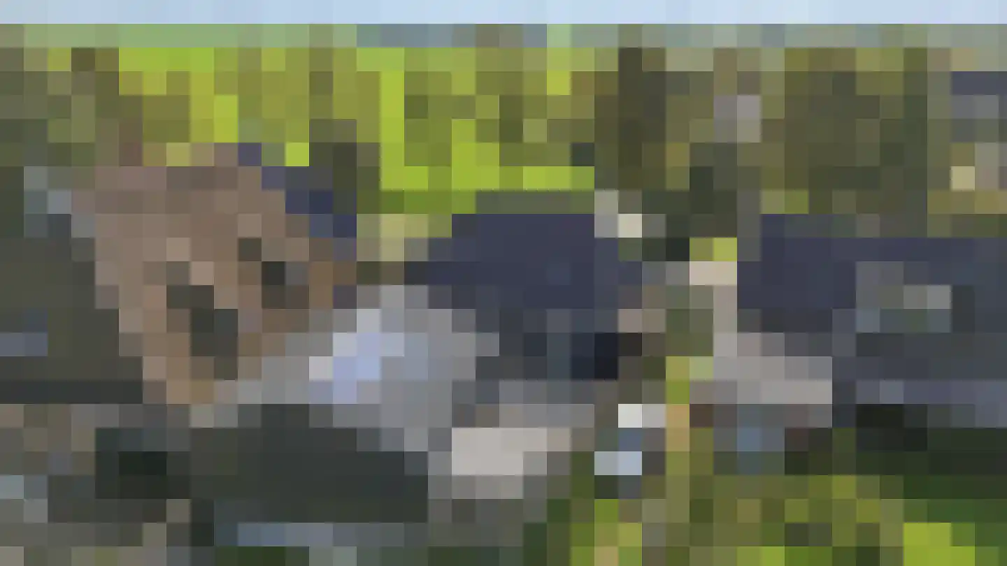 Lidlumerwei 12 Oosterbierum thumbnail 55