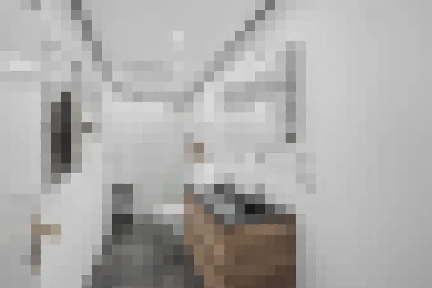 Lidlumerwei 12 Oosterbierum thumbnail 7