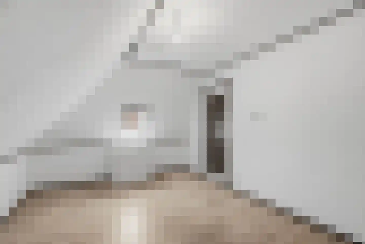 Lidlumerwei 12 Oosterbierum thumbnail 8