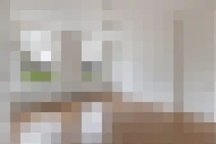 Lidlumerwei 4 Oosterbierum thumbnail 12