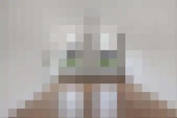 Lidlumerwei 4 Oosterbierum thumbnail 13