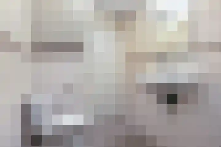 Lidlumerwei 4 Oosterbierum thumbnail 20
