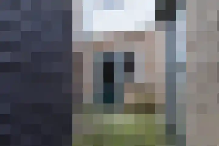 Lidlumerwei 4 Oosterbierum thumbnail 25