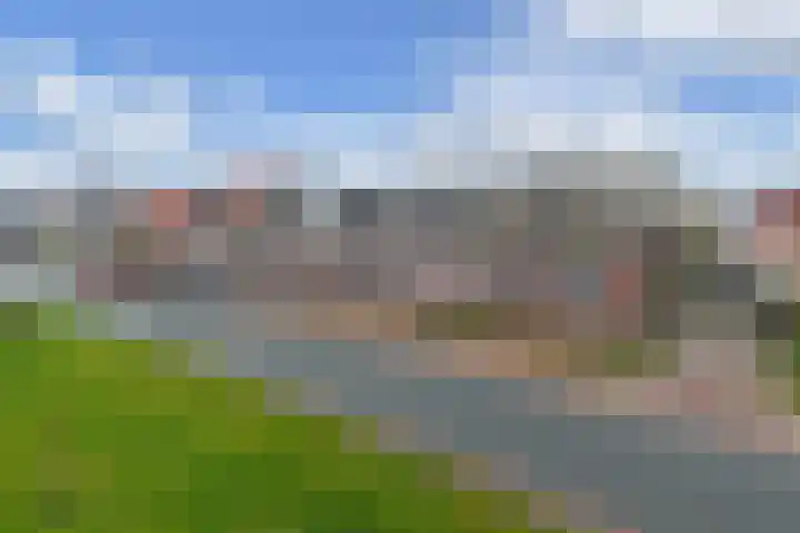 Lidlumerwei 4 Oosterbierum thumbnail 5