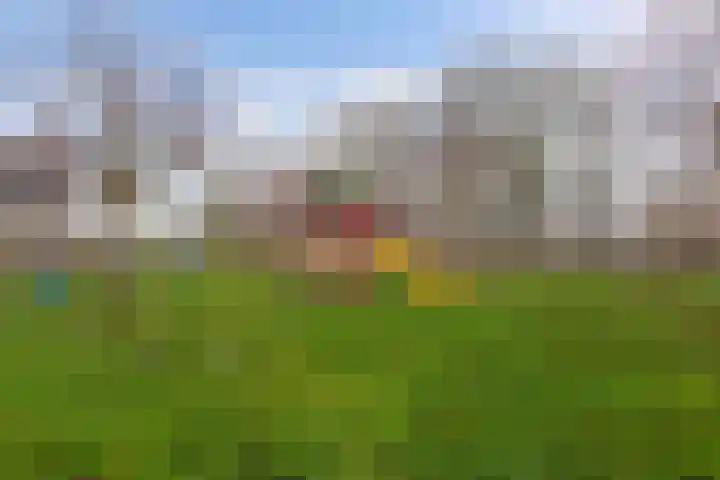 Lidlumerwei 4 Oosterbierum thumbnail 7