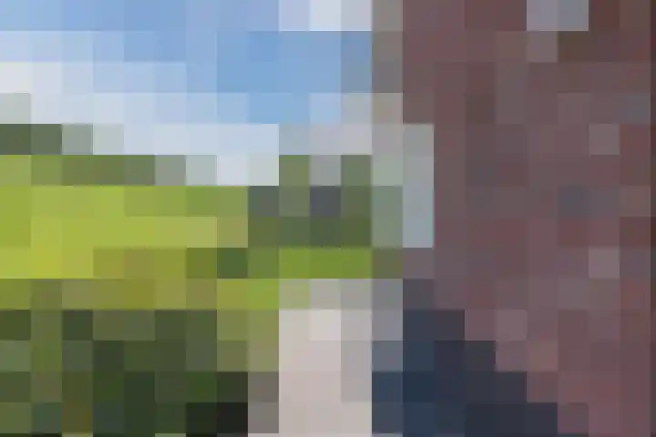 Lidrus 1 Beilen thumbnail 40