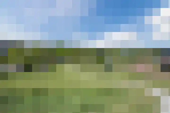 Lidrus 1 Beilen thumbnail 49