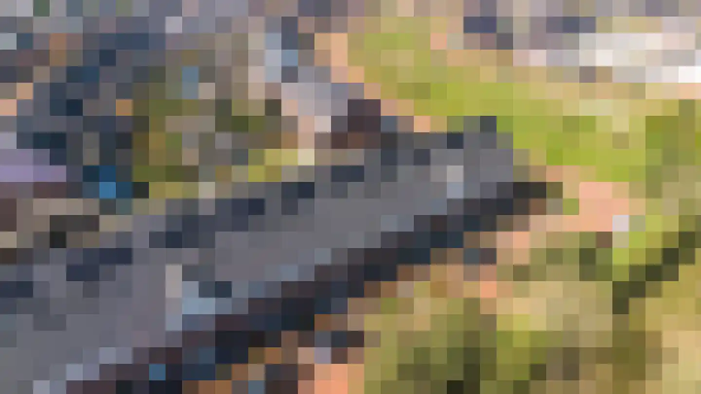 Lidrus 21 Beilen thumbnail 34