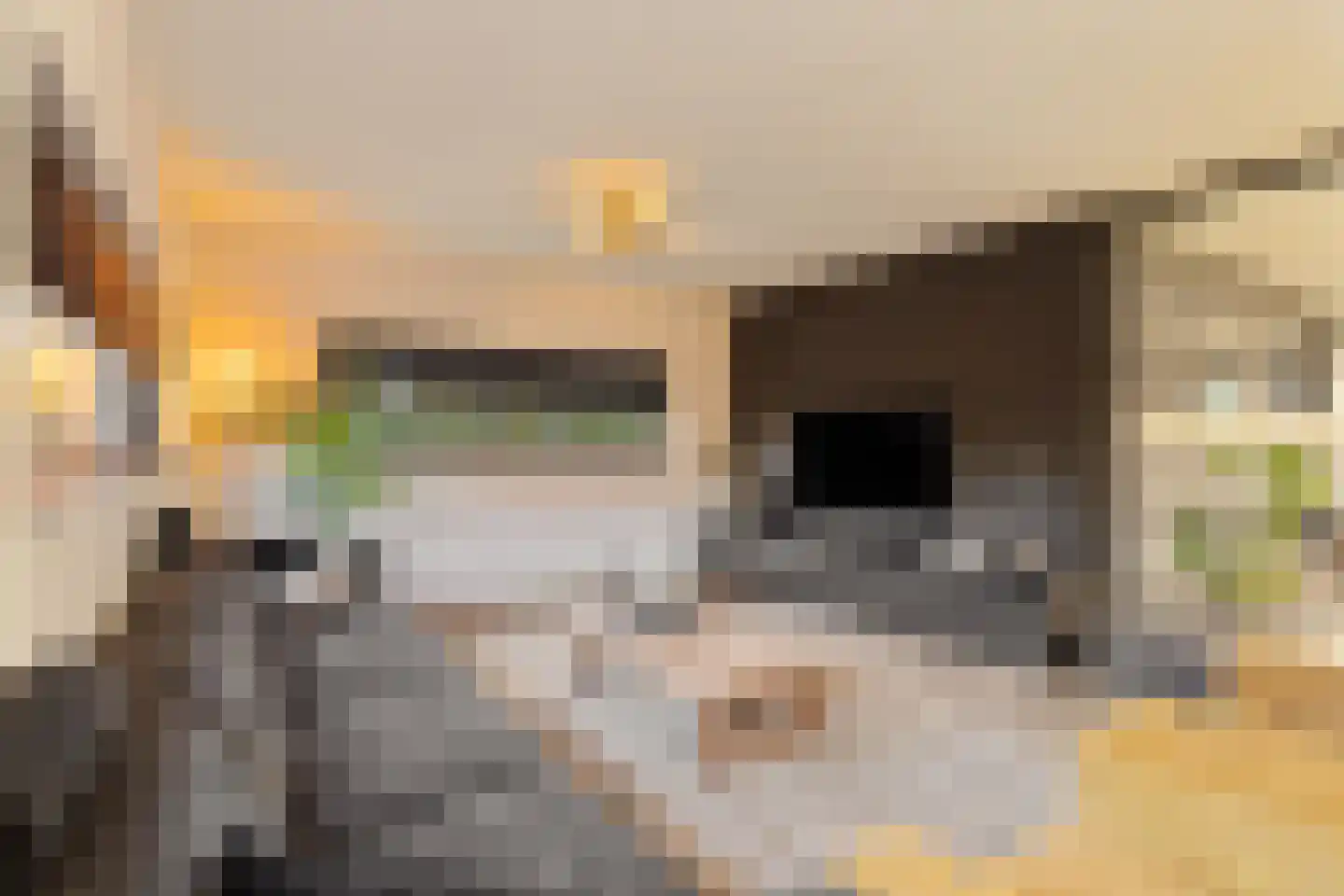 Liduinalaan 16 Noordwijkerhout thumbnail 11