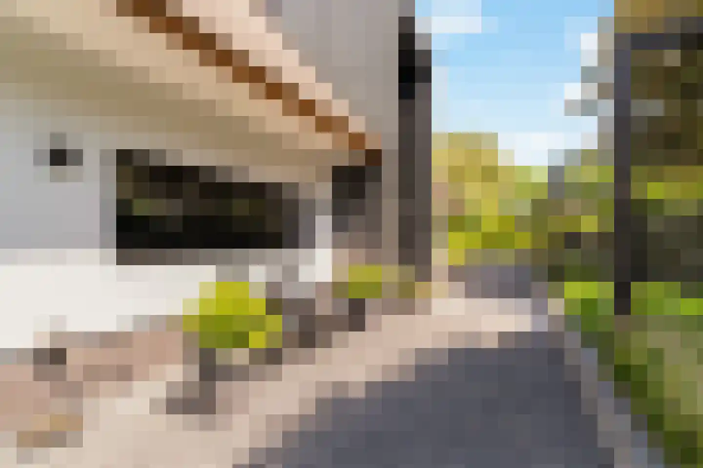 Liduinalaan 16 Noordwijkerhout thumbnail 11