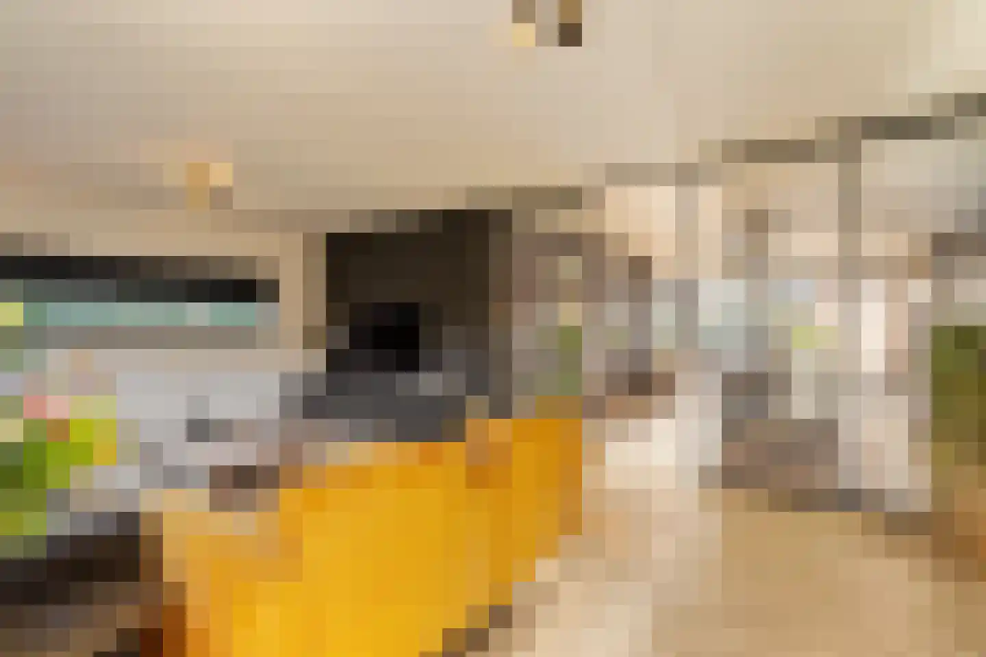Liduinalaan 16 Noordwijkerhout thumbnail 13