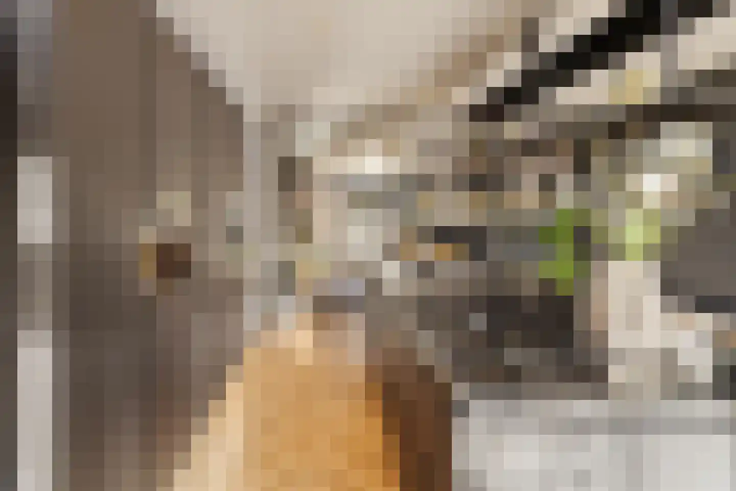 Liduinalaan 16 Noordwijkerhout thumbnail 15