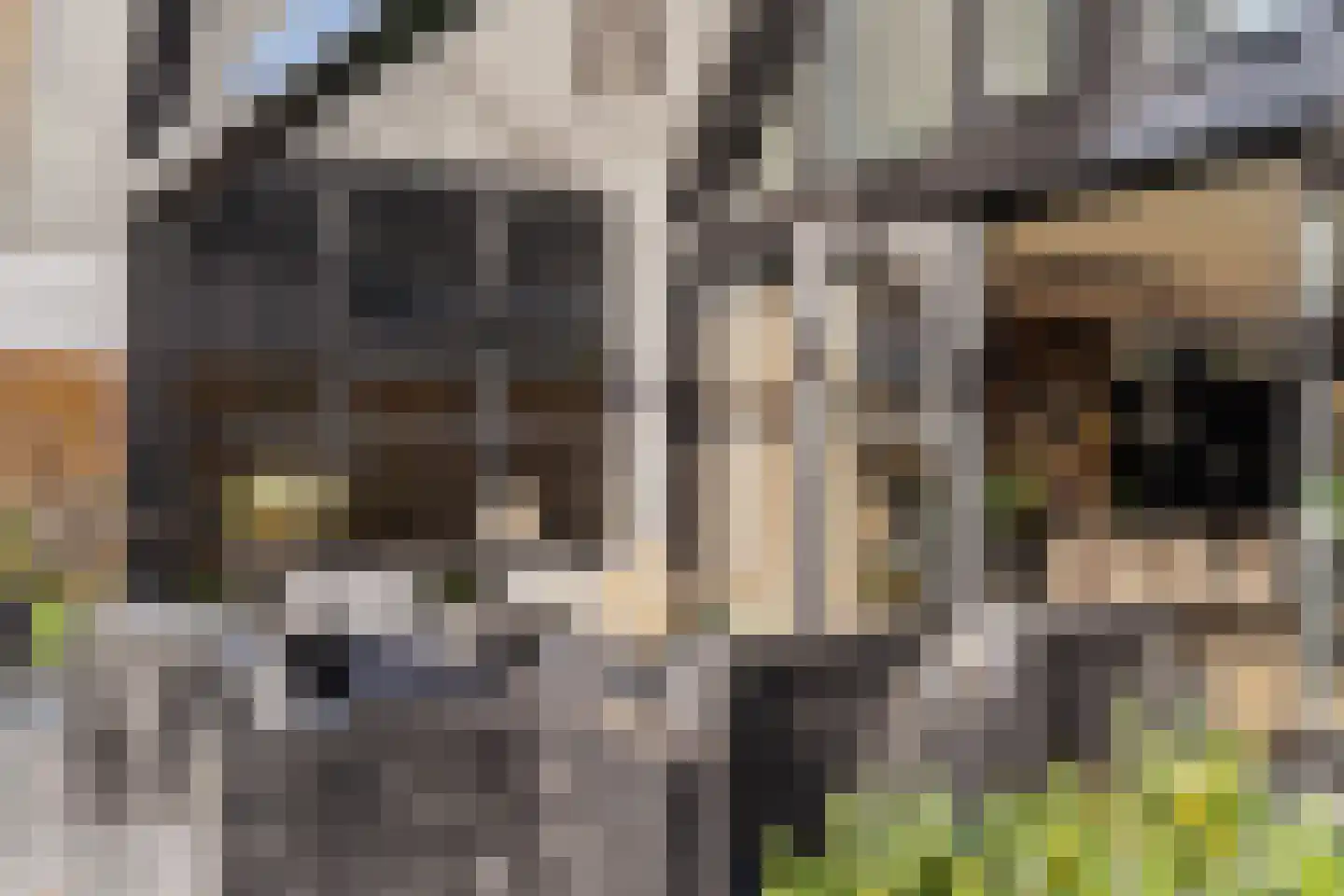 Liduinalaan 16 Noordwijkerhout thumbnail 20
