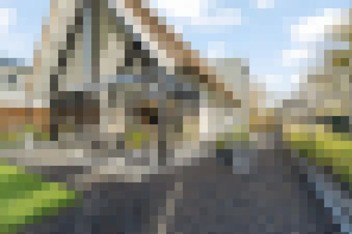 Liduinalaan 16 Noordwijkerhout thumbnail 24