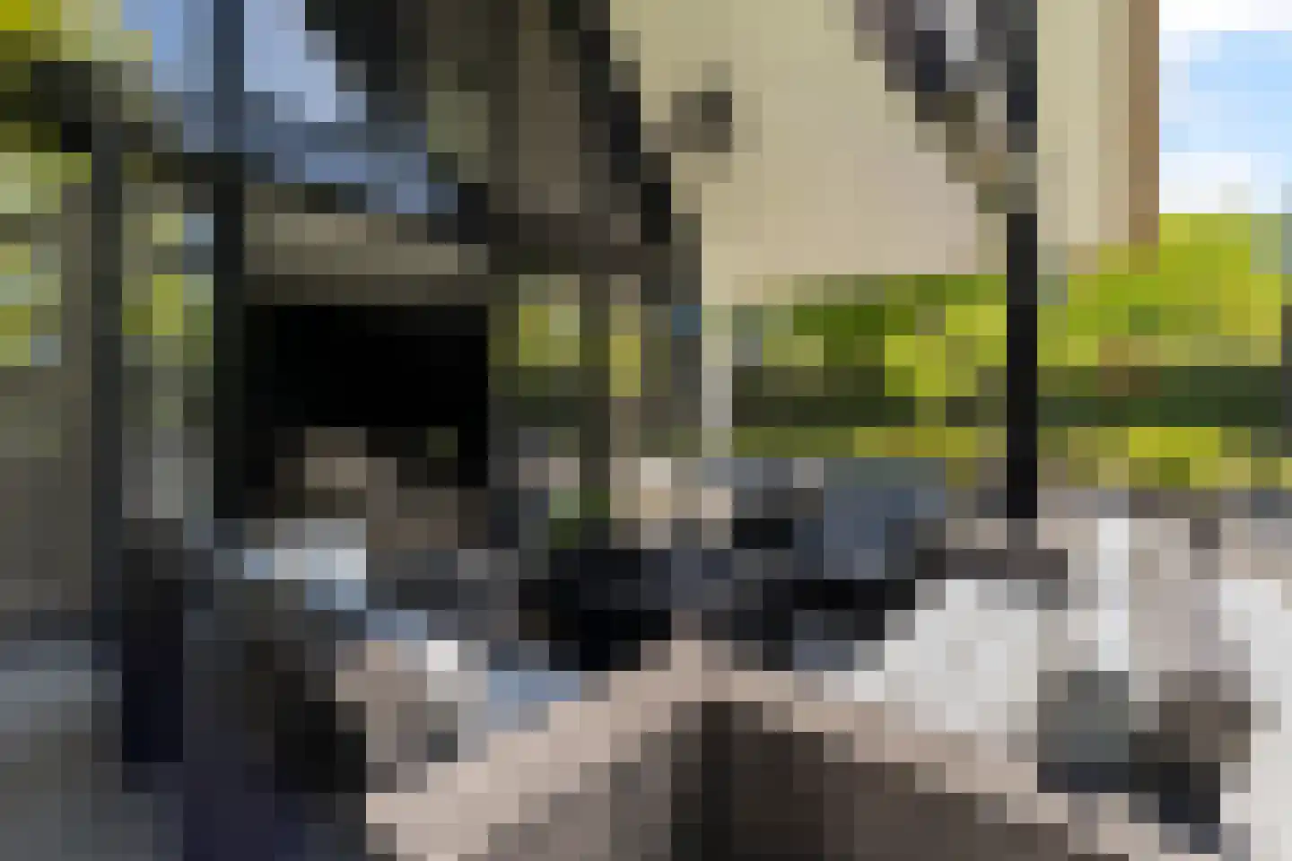 Liduinalaan 16 Noordwijkerhout thumbnail 27