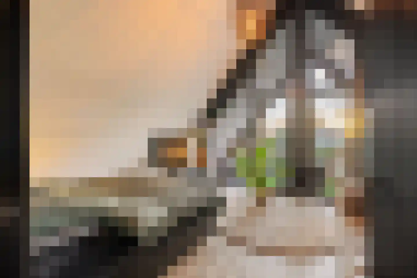 Liduinalaan 16 Noordwijkerhout thumbnail 29