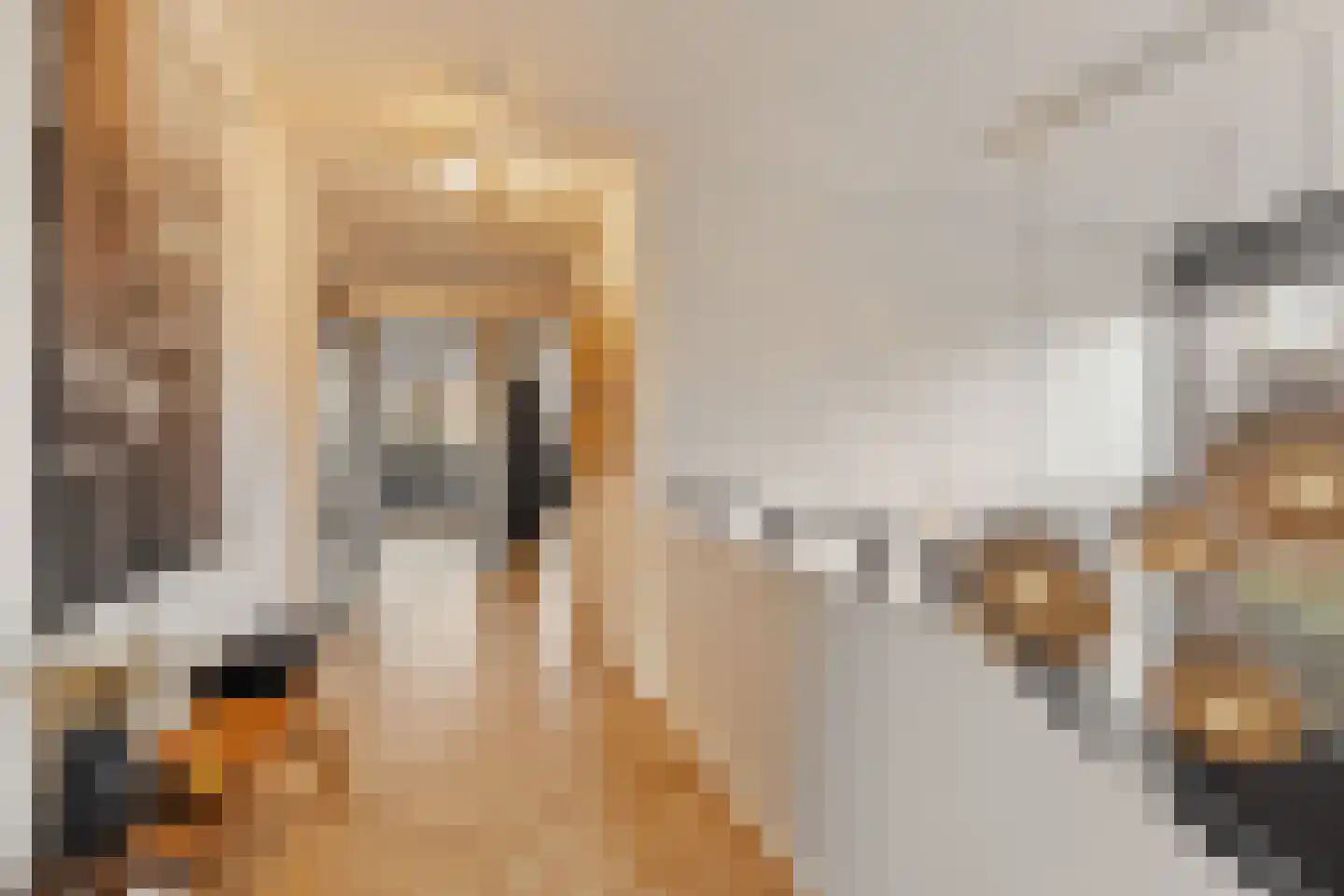 Liduinalaan 16 Noordwijkerhout thumbnail 38